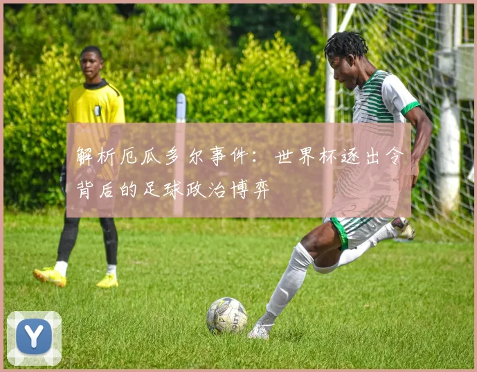 解析厄瓜多尔事件：世界杯逐出令背后的足球政治博弈