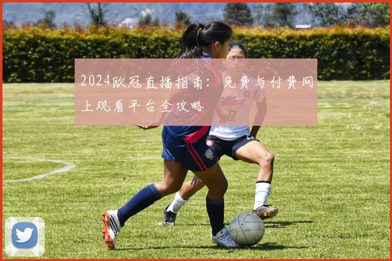 2024欧冠直播指南：免费与付费网上观看平台全攻略