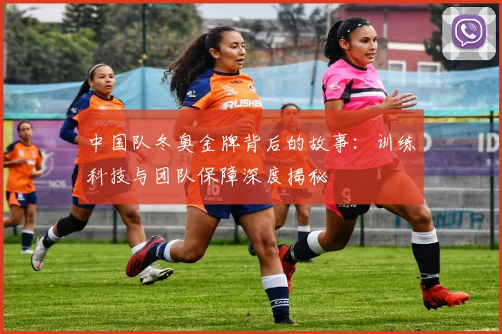 中国队冬奥金牌背后的故事：训练科技与团队保障深度揭秘
