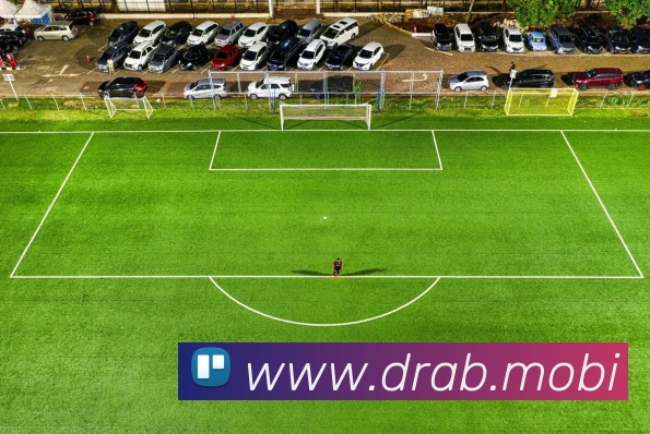 世界杯app官网平台生态图